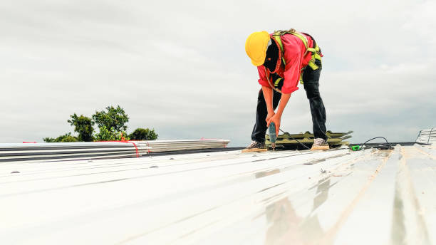 Best Storm Damage Roof Repair  in New London, OH