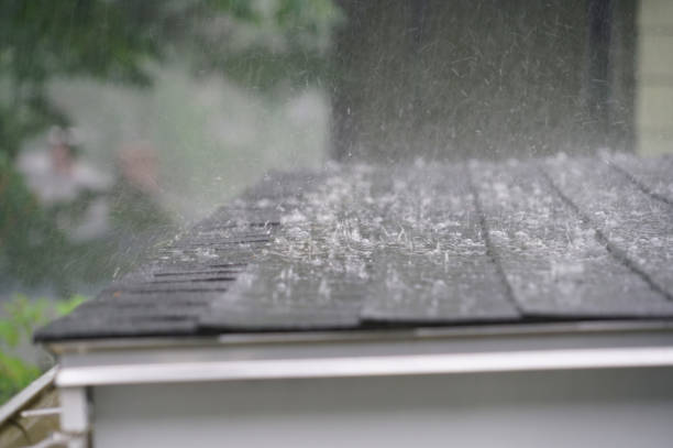 Best Cold Roofs  in New London, OH