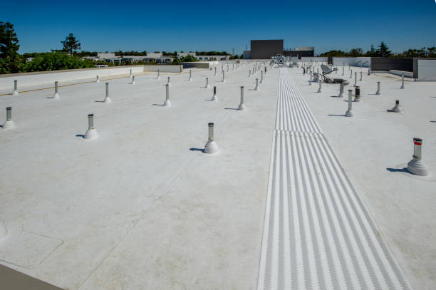 Best Roof Moss and Algae Removal  in New London, OH